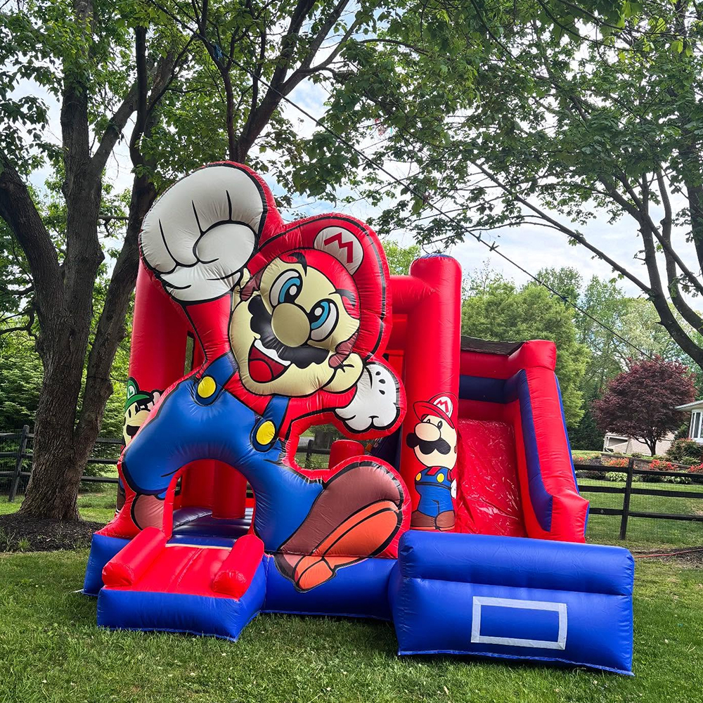 Custom Inflatable Bouncer Kids - Kids Outdoor Jumping Castle reseña y precio