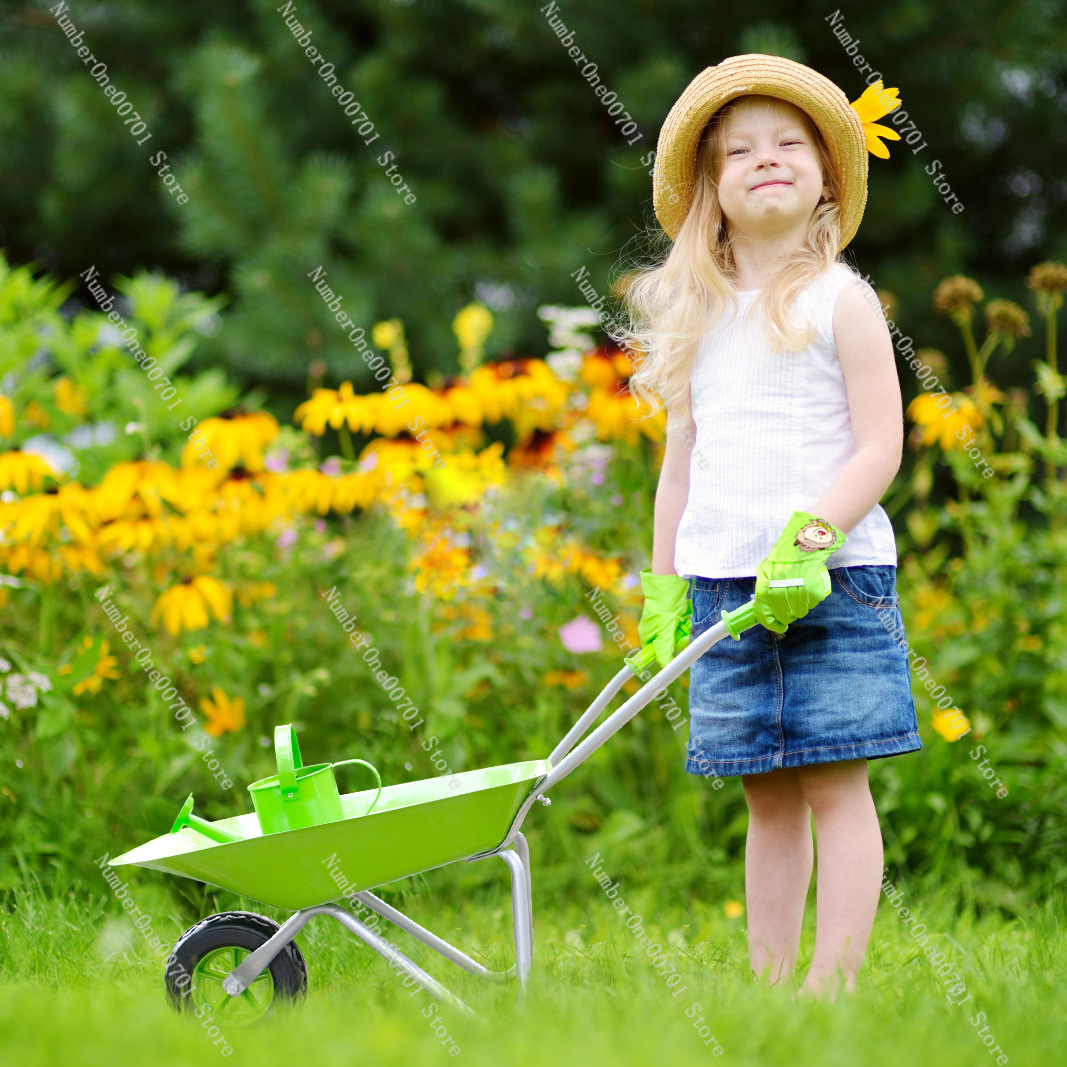 Kids Outdoor Wheelbarrow, Gree - Kids Outdoor Garden reseña y precio