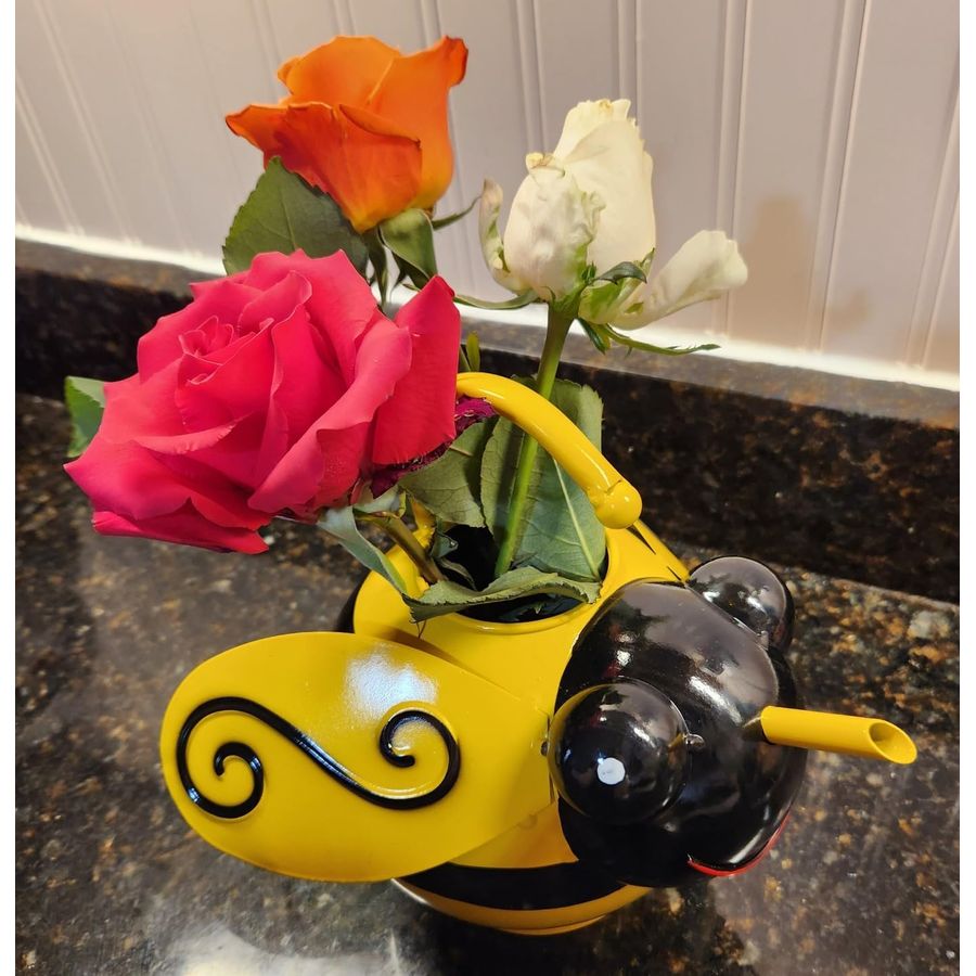 Cute Bee Watering Can for Indo - Kids Outdoor Decor reseña y precio