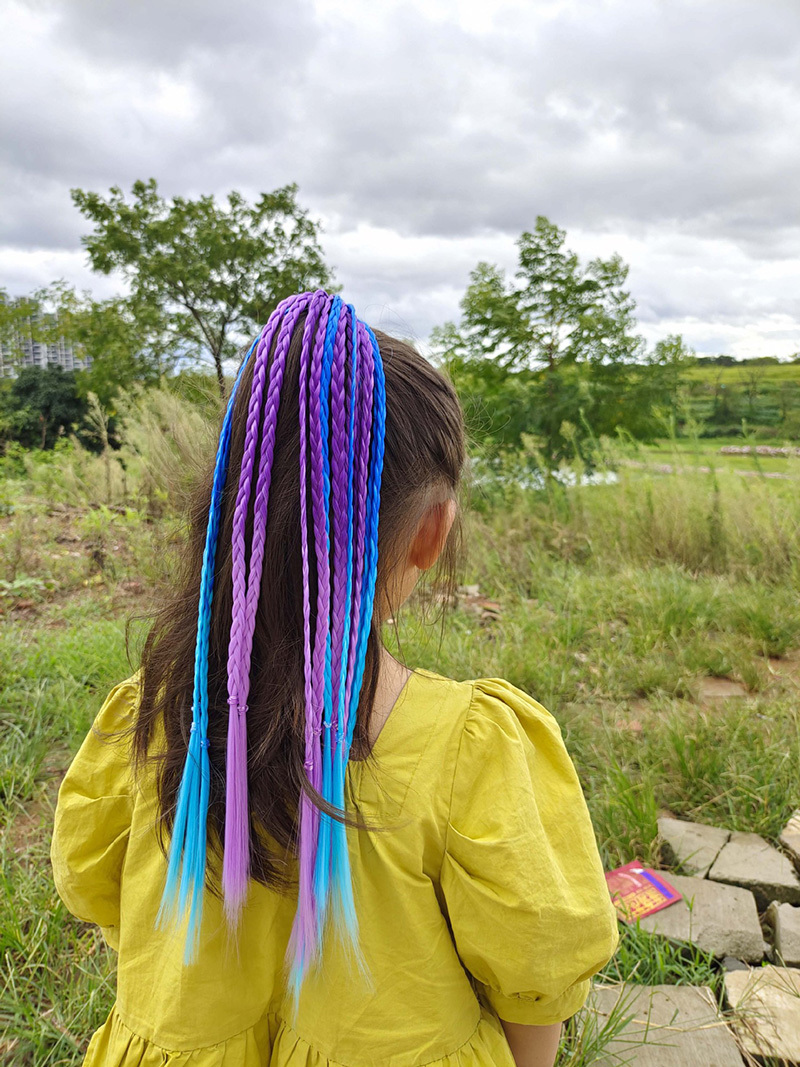 1 PCS New Girls Colorful Wigs  - Kids Outdoor Decor reseña y precio